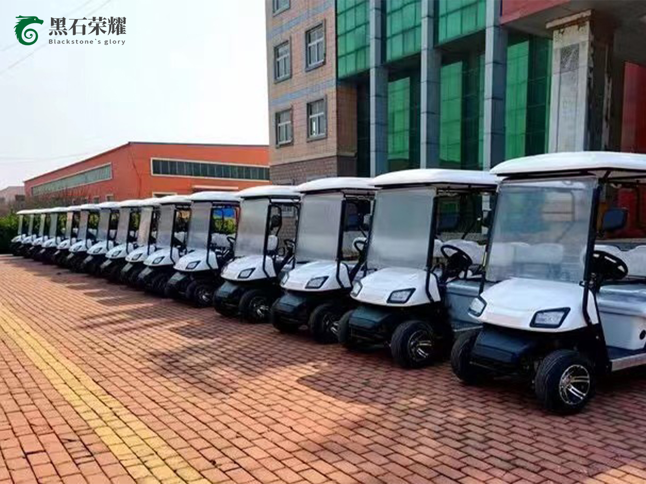 電動(dòng)高爾夫球車 電動(dòng)高爾夫球車