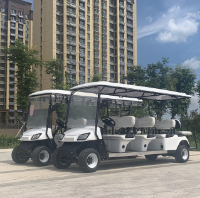 電瓶電動巡邏車